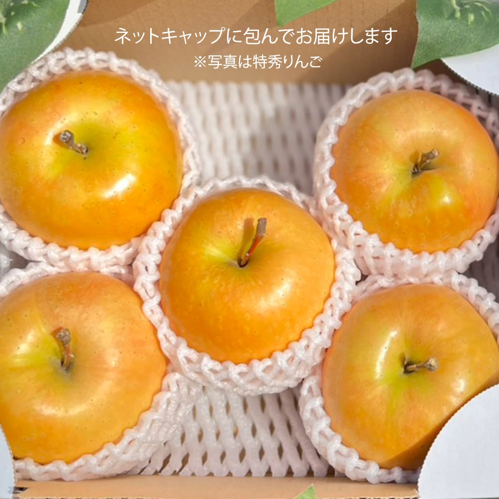 �ʤ��ΤΤ���᤭ ��������� 2kg 5-6�� �ԥ󥯿����ӤӤ����襤���̼� Ĺ�� ��󥴡�����̵��