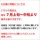 ��˱ �� ���渵 �ե롼�� ������ 3kg 10-11������