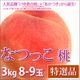 �ʤĤä� �� ���渵 �ե롼�� ������ 3kg 8-9������