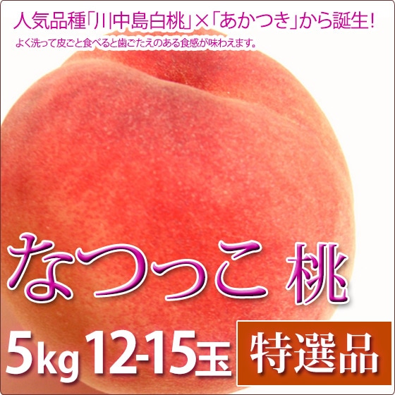 �ʤĤä� �� ���渵 �ե롼�� ������ 5kg 12-15������