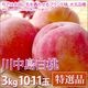 ���������� �� ���渵 �ե롼�� ������ 3kg 10-11������