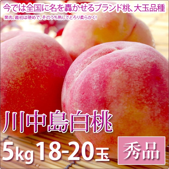 ���������� �� ���渵 �ե롼�� ���� 5kg 18-20������