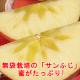 դ  Ǿ 5kg 8-10 ̤̤줿Ǿ