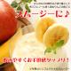 [] դ  10kg 澮̺ ̵ Ǥ󶡤Ǥ