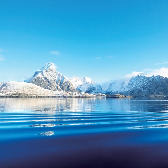 �ڻɿ��� 9kg���ۥߥ󥯥����� ���� ��2.3kg