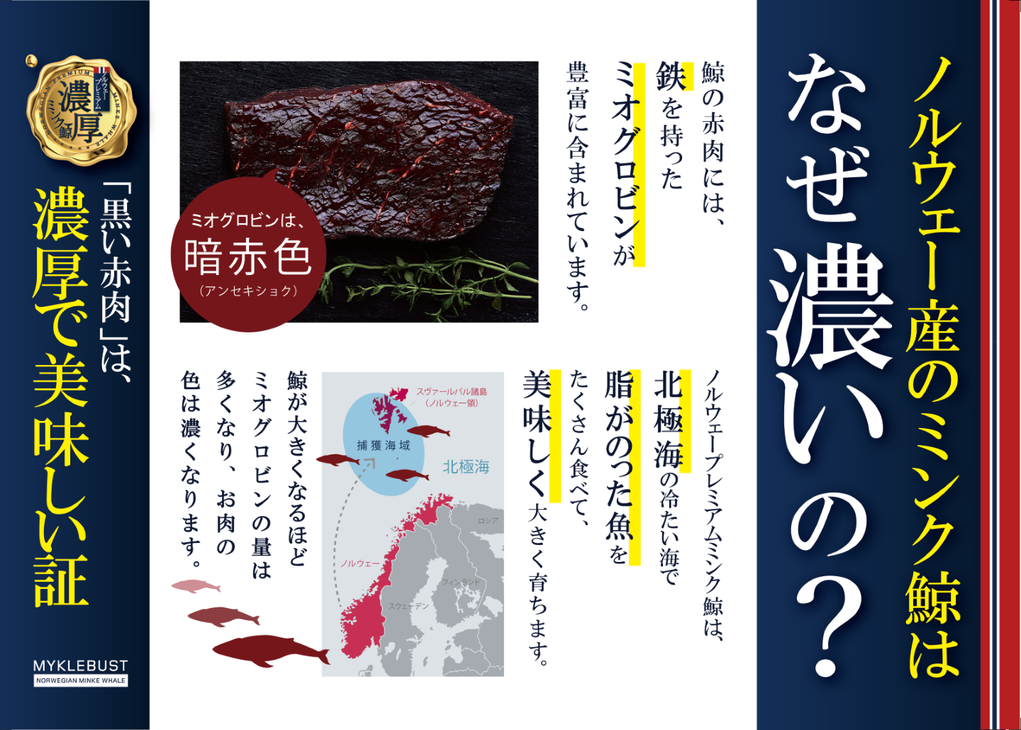 ぐみ　肉質画　印あり　本付き 箱買い】キン肉マングミ Round5を買った！の巻【紹介編】 - 新潟と紫と