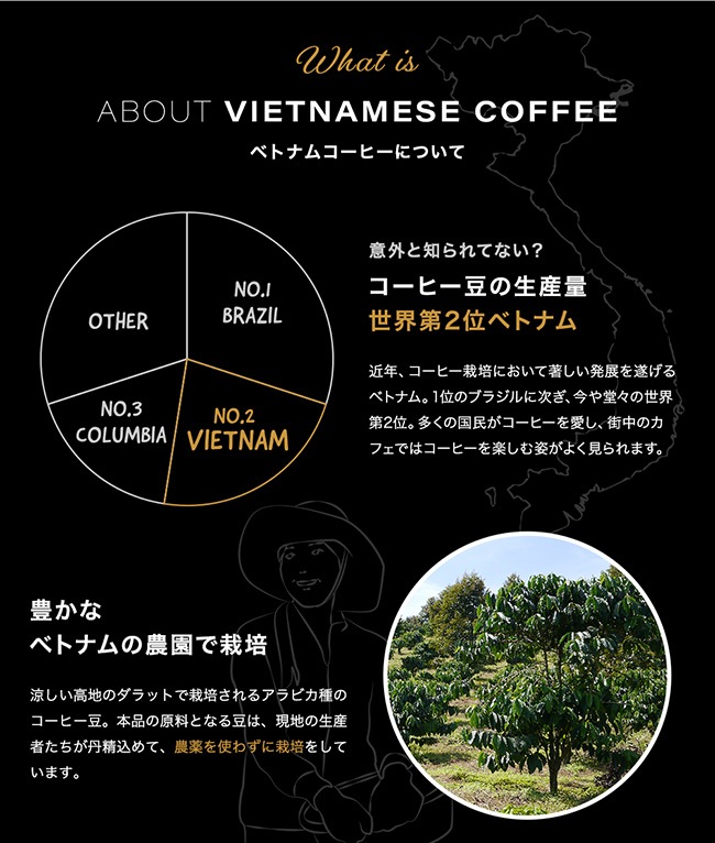 ھ̣òSTAR BLEND ɥåסVIETNAM STAR COFFEE