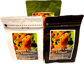 ڿ̸ܳʥ٥ȥʥॳҡåȡʸƥåդ -Pogona Blend.- Reptile Coffee VietnamۡƦ/ʴ