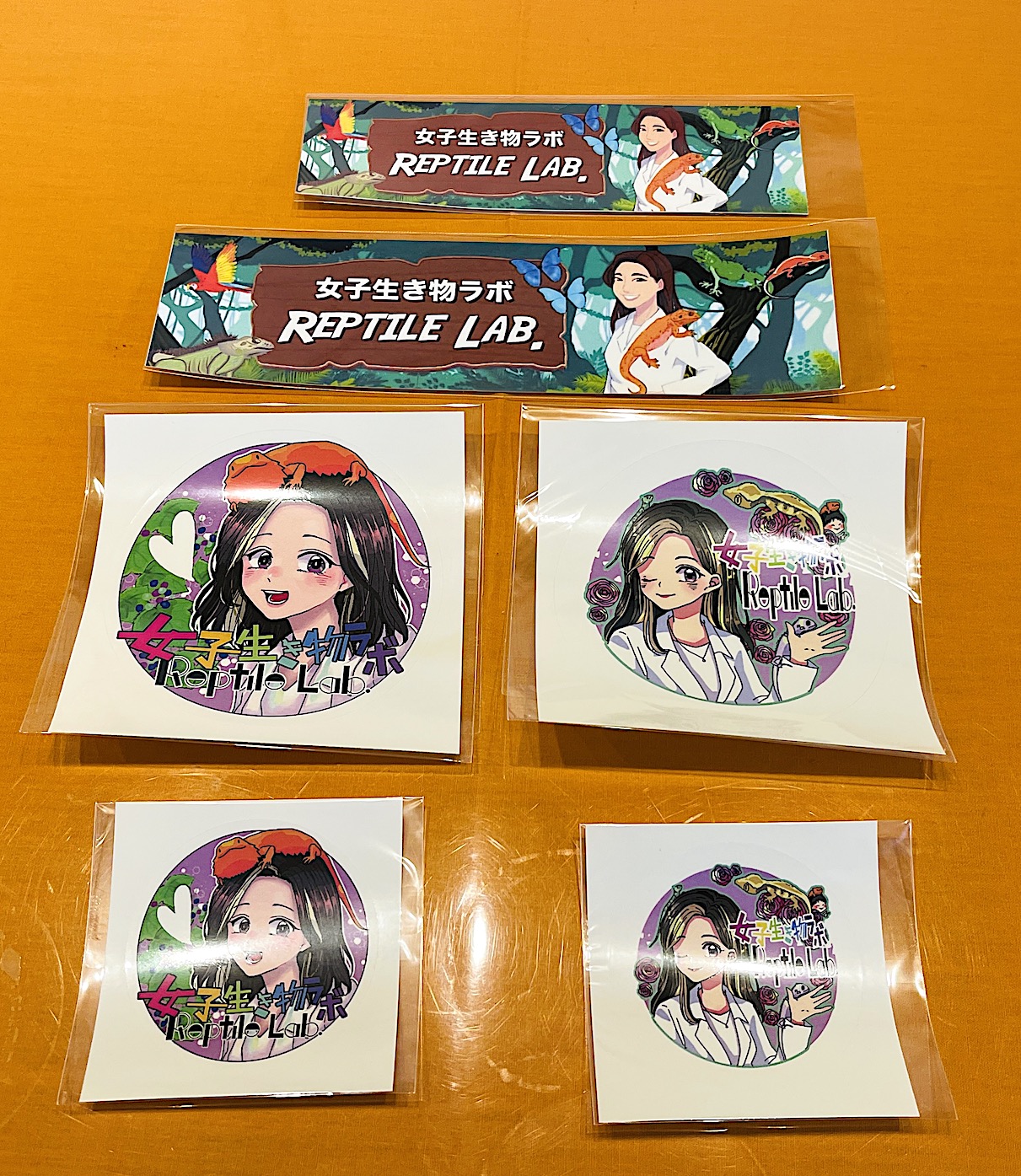 ʪܸƥå糧åȡʥåդ