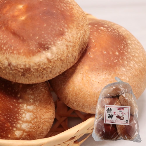 和歌山県産龍神村産　龍神しいたけ