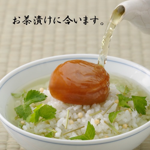 大玉B級紀州南高梅 うす塩味梅（セット商品）｜梅干しの通販 和歌山の
