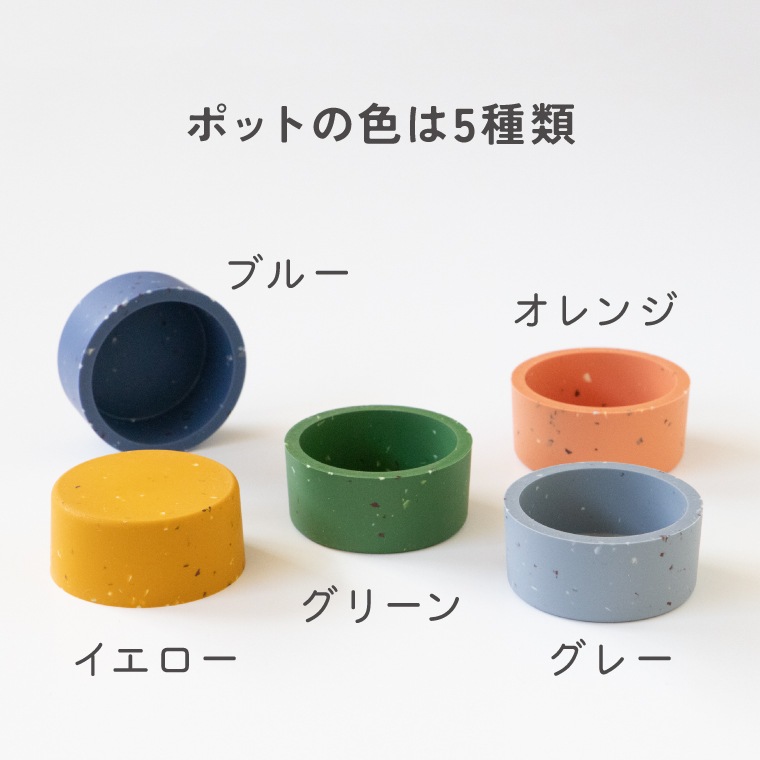 Planco 隈本コマ公式オンラインショップ