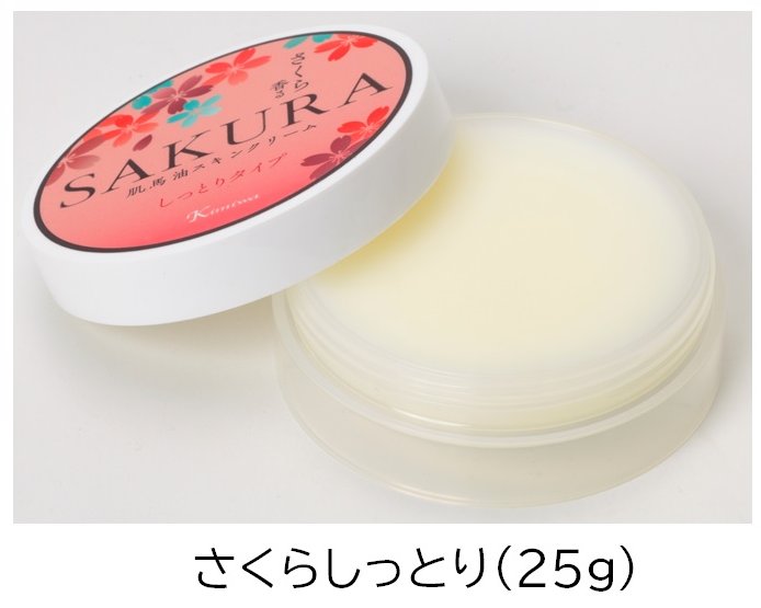 ȩ����������ʤ��äȤ꥿���סˡ� ��ȩ���³�����ҡ�