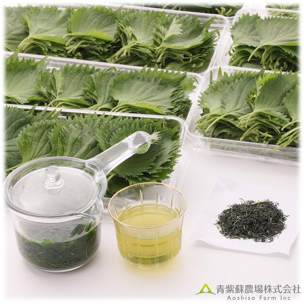 �Ĥ����� ���Ļ������������ҡ�