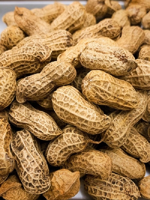 ���ܥԡ��ʥåĳ��դ�����ե��� �ڤޤ��Ʋ��