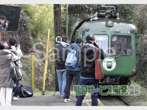 �ڰ���ʪ���ץ��ȥ����ӥ��۷�����Ŵ���ĥ����뎣 No17�ڷ����ܼһ�ʧ�����ʡ�