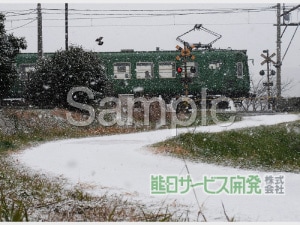 �ڰ���ʪ���ץ��ȥ����ӥ��۷�����Ŵ���ĥ����뎣 No25�ڷ����ܼһ�ʧ�����ʡ�