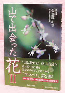 ���ܡ�����ۻ��ǽв�ä��֭�