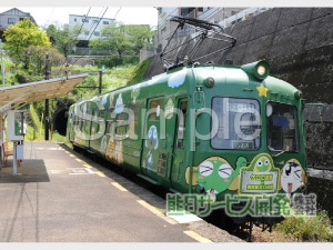 �ڰ���ʪ���ץ��ȥ����ӥ��۷�����Ŵ���ĥ����뎣 No1�ڥ��쥸�åȷ�Ѿ��ʡ�