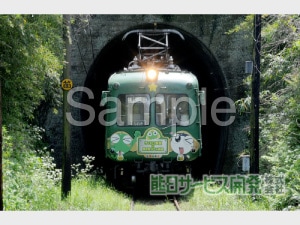 �ڰ���ʪ���ץ��ȥ����ӥ��۷�����Ŵ���ĥ����뎣 No2�ڥ��쥸�åȷ�Ѿ��ʡ�