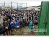 �ڰ���ʪ���ץ��ȥ����ӥ��۷�����Ŵ���ĥ����뎣 No36�ڥ��쥸�åȷ�Ѿ��ʡ�