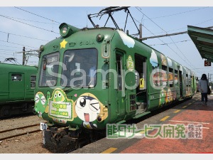 �ڰ���ʪ���ץ��ȥ����ӥ��۷�����Ŵ���ĥ����뎣 No5�����������ʡ�