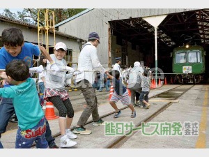 �ڰ���ʪ���ץ��ȥ����ӥ��۷�����Ŵ���ĥ����뎣 No16�����������ʡ�