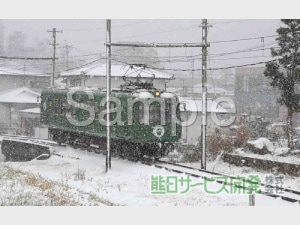 �ڰ���ʪ���ץ��ȥ����ӥ��۷�����Ŵ���ĥ����뎣 No18�����������ʡ�