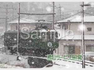�ڰ���ʪ���ץ��ȥ����ӥ��۷�����Ŵ���ĥ����뎣 No19�����������ʡ�