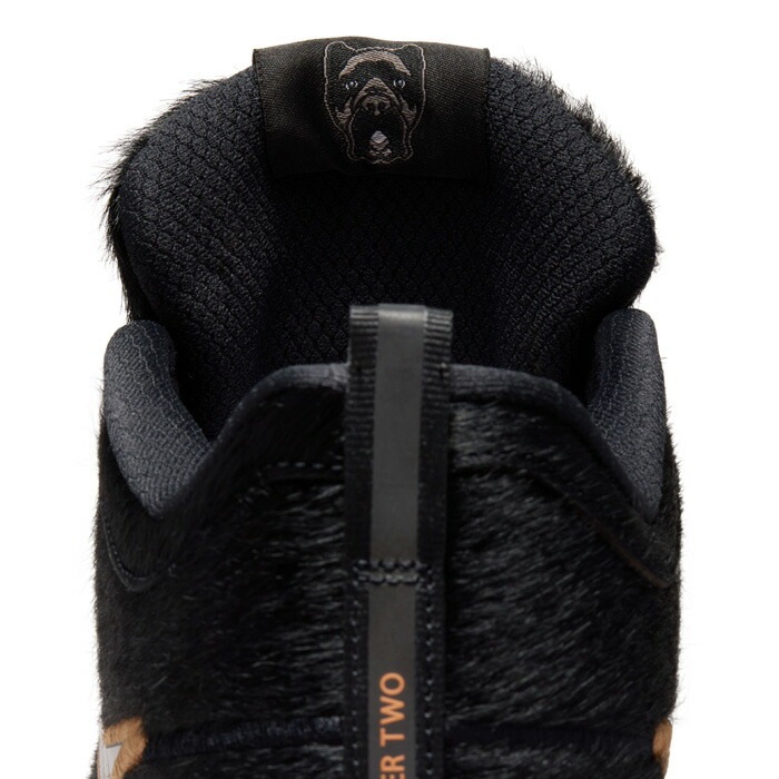 5月28日(木)発売】NIKE/ナイキ バスケットボール バスケットシューズ
