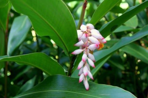 ����������ޡʤ���ˡ�5g��1�ġ�̵����̵�������Τ⤪ȩ�������ޤ�