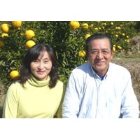 熊本産レモニーレモン【吉田レモニー】-2288-食品