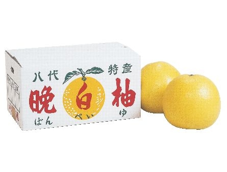 ����ͮ�̶̡�2�����ˡ�ͭ�²�ҹ⸫��Ź��