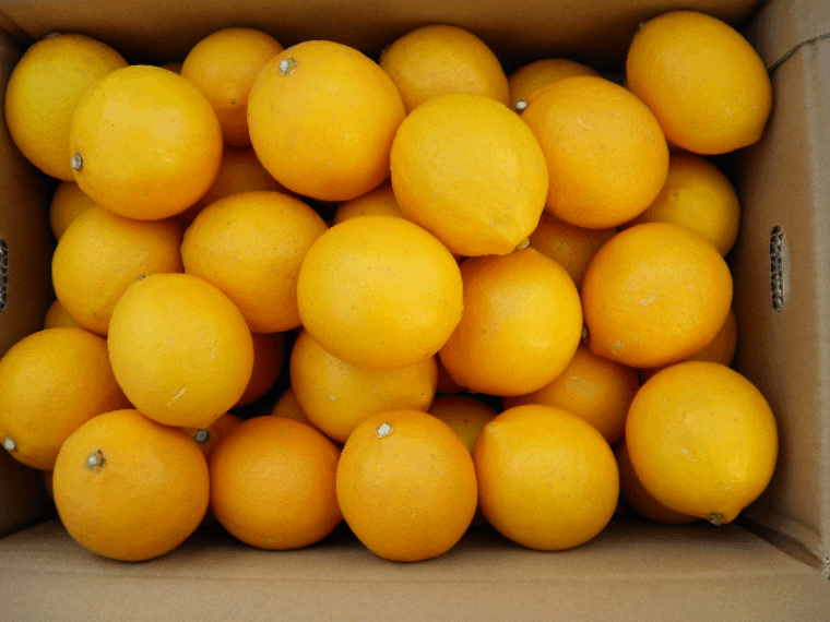 �񻺥��󡡡����Ĳ̼����