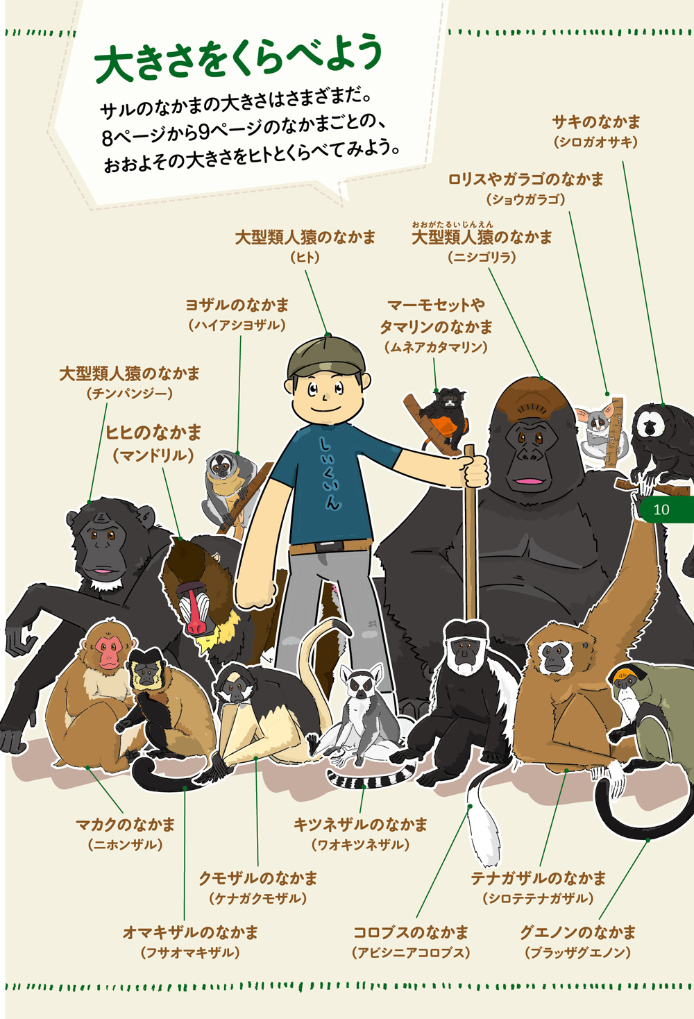可愛いサルの絵本 飼育員がつくったサルの図鑑 | すべての商品 | | KUMON SHOP