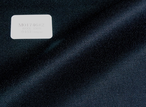 M01746-2ʥߥåɥʥȥ֥롼