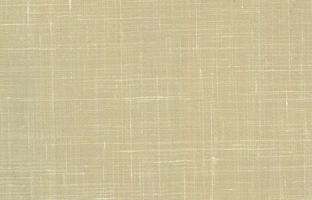 46554-75���١�����/����