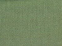 56510-75 ��TWILL CHAMBRAY�ۥ��꡼�󥰥졼/̵��