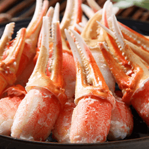 磻ޡ1kg6,480ߢ5,400