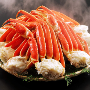 �ܥ��륺�磻����3����1.2kg��20%OFF��8,640�ߢ�6,912��