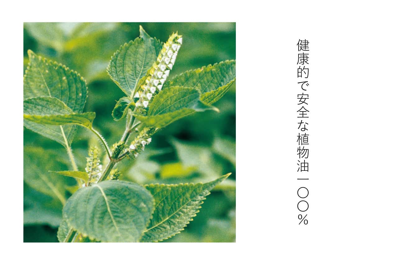 匠の艶出し（天然ワックス）