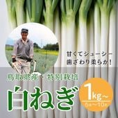 �����������ͤ� 1������2������3���� �ڴŤߤ�����Ĺ�ͤ��� ����ľ������������