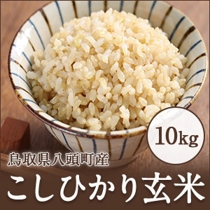コシヒカリ 玄米 10kg 特別栽培米コシヒカリ 令和6年産 長野県
