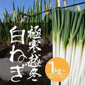 �˴�������ͤ��ڴ������������UP�� 1������2������3���� ���餫���ƴŤߤ�����Ĺ�ͤ� ����ľ������������