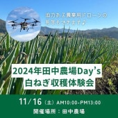 Days6ǯͤθ ͽåȡ2024.11.6