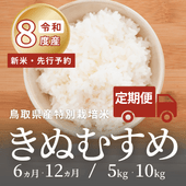 ������8ǯ�ٻ�����������ͽ���Ļ�踩�� ���̺����� ���̤ह������ 6���12�����11����缡ȯ����