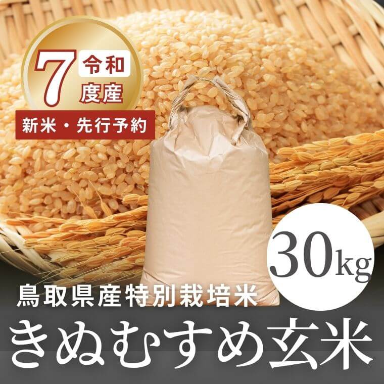 令和7年度産・新米【早期予約】鳥取県産 特別栽培米 きぬむすめ