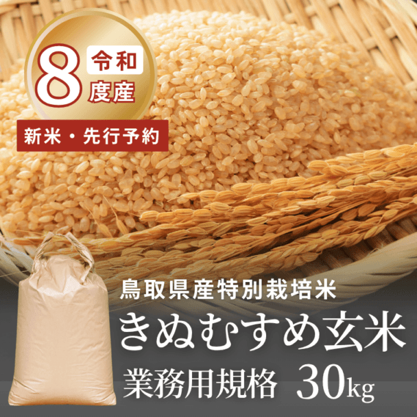 令和8年度産・新米【先行予約】鳥取県産 特別栽培米 きぬむすめ玄米