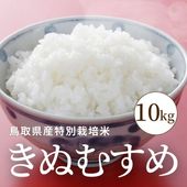 Ļ踩̤ह10kg