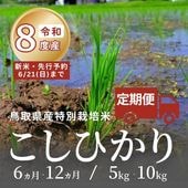 ������8ǯ�ٻ�����������ͽ���Ļ�踩�� ���̺����� ���� �����Ҥ������� 6���12����